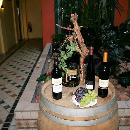Weinhotel Atrium 3*